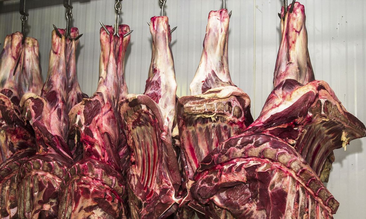 Guaicurus News - Abate de bovinos no Brasil volta a crescer após dois anos de queda