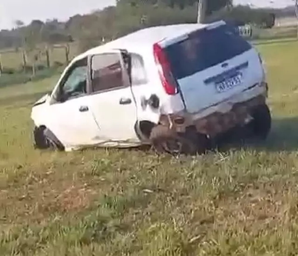 Guaicurus News - Motorista morre após capotar carro na BR-419, entre Nioaque e Anastácio