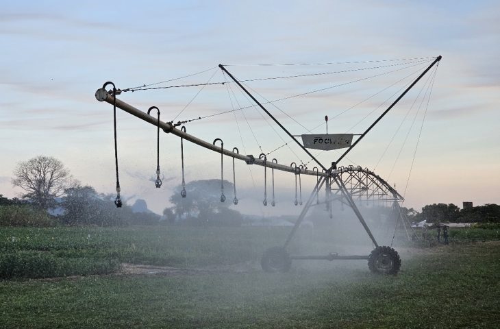 Guaicurus News - Primeiro polo de agricultura irrigada de MS abrange 26 municípios nas regiões Centro e Sul