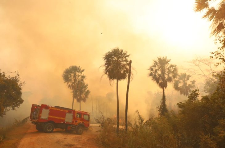 Guaicurus News - Desafios contra incêndios florestais em MS continuam na Operação Pantanal 2024