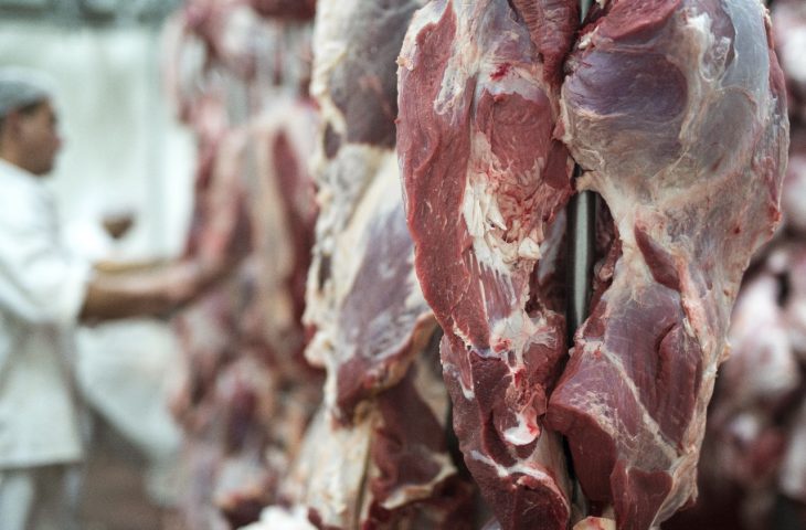 Guaicurus News - Exportações de MS somam US$ 7,24 bilhões até agosto e carne bovina cresce 43,7%
