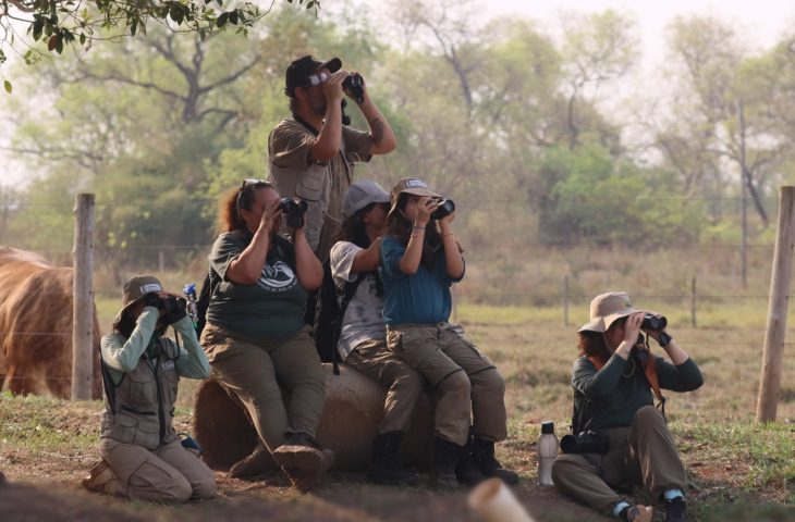 Guaicurus News - Turismo em ascensão: desafio de observação de aves registra 345 espécies em MS