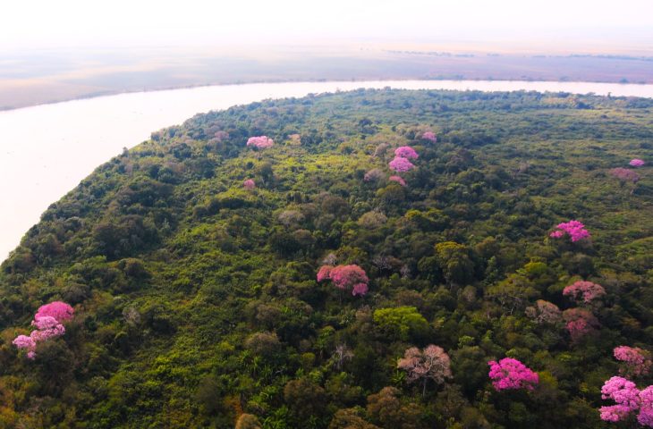 Guaicurus News - Plano Clima Participativo: plenária em Campo Grande aborda o bioma Pantanal