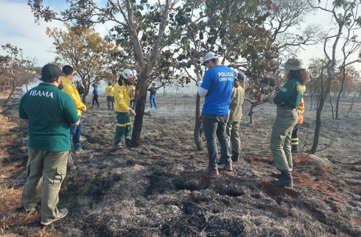 Guaicurus News - Peritos, bombeiros e PMA passam por curso para identificar incêndios florestais criminosos