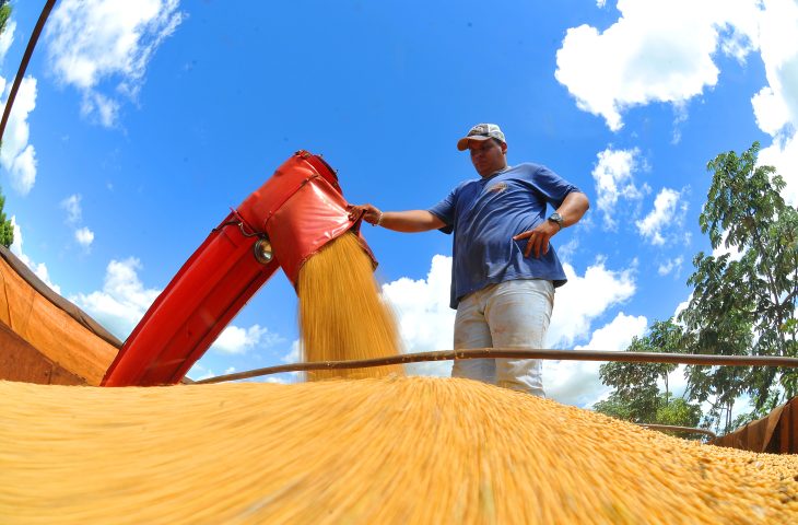 Guaicurus News - Produtores rurais devem declarar área plantada de soja até o dia 10 de janeiro no site da Iagro