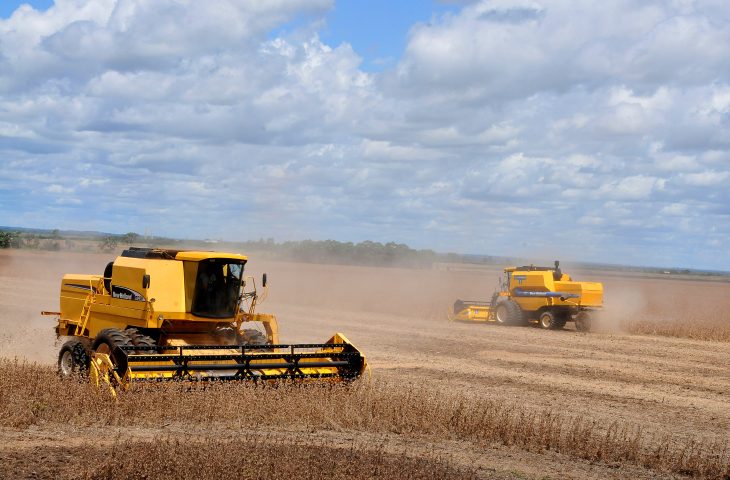 Guaicurus News - Produção agrícola de Mato Grosso do Sul deve chegar a 75,3 milhões de toneladas na safra 2024/25