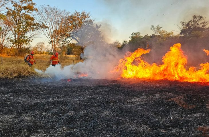 Guaicurus News - Pantanal de MS tem quatro focos de incêndios ativos e trabalho de combate no bioma completa 198 dias