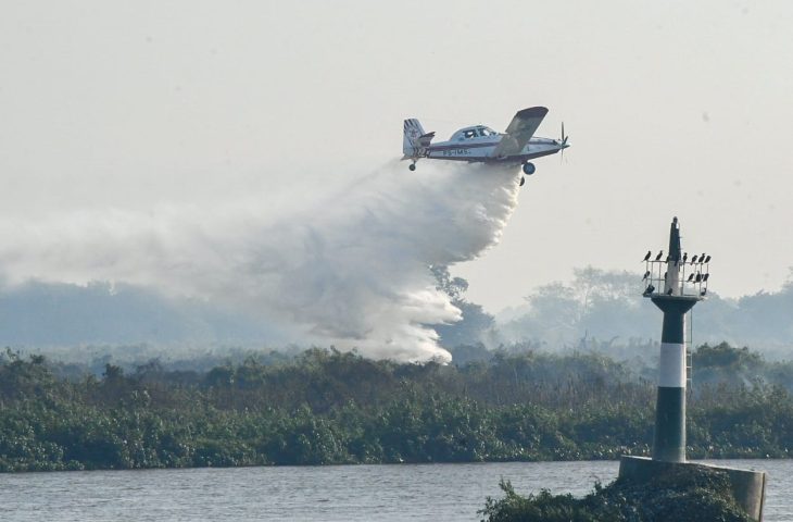 Guaicurus News - Decreto de emergência em MS garante celeridade na resposta aos incêndios florestais no Estado