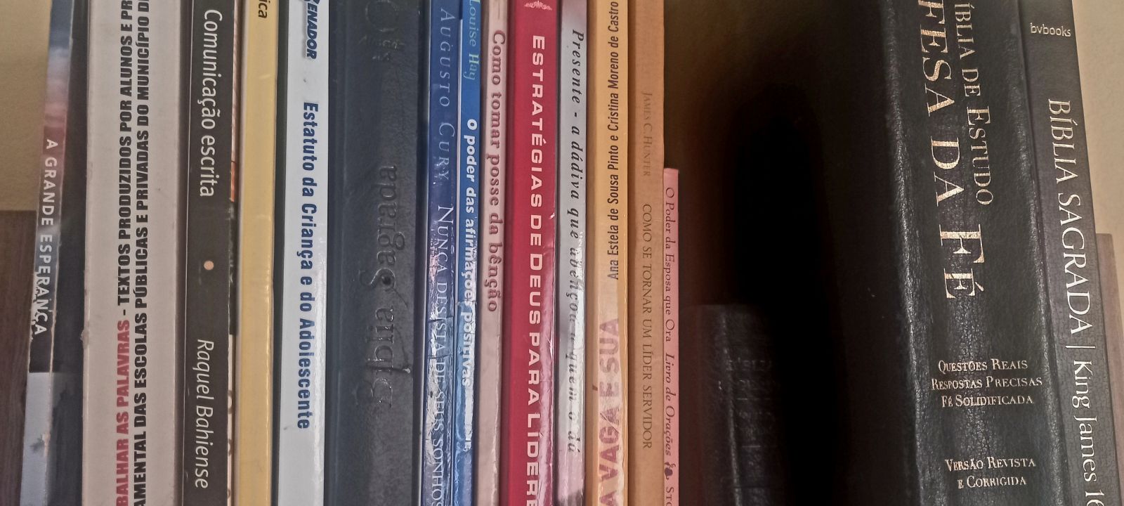 Guaicurus News - Setor editorial e de livros registra expansão de 13% no país