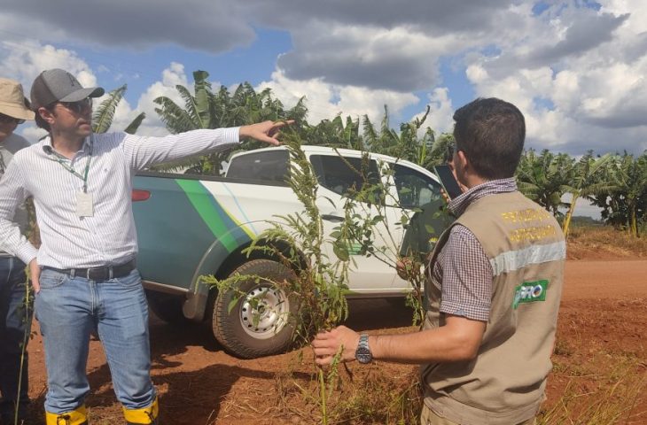 Guaicurus News - Iagro  publica abertura de concurso com 29 vagas para médico veterinário