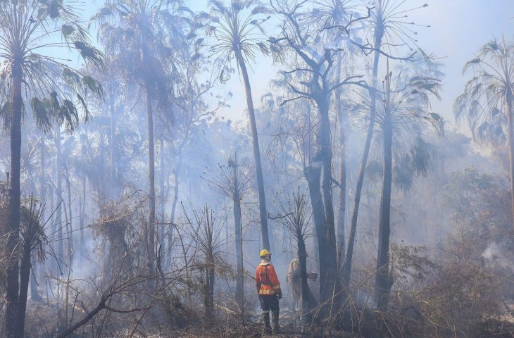 Guaicurus News - Combate aos incêndios no Pantanal tem reforço com equipes de bombeiros do PR e GO