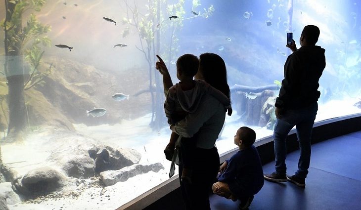 Guaicurus News - Bioparque Pantanal recebe selo internacional “ouro” por sustentabilidade e se destaca entre atrativos turísticos mu