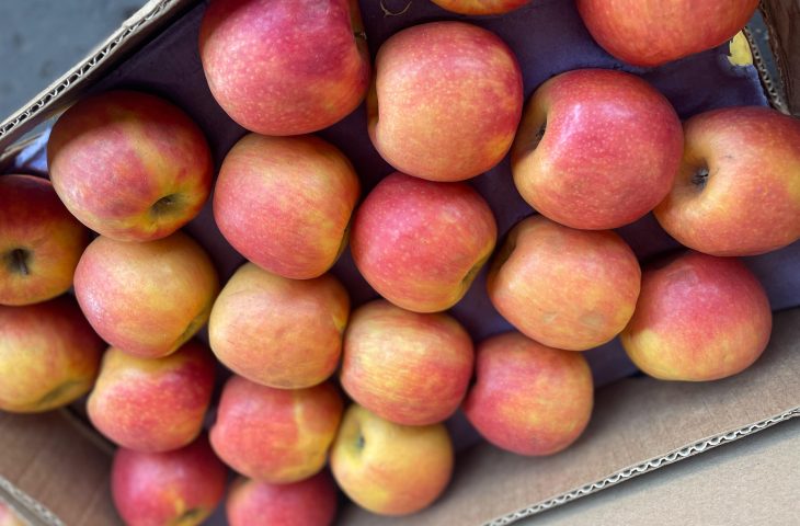 Guaicurus News - Ceasa-MS registra aumento de 105% no volume de produtos importados do exterior
