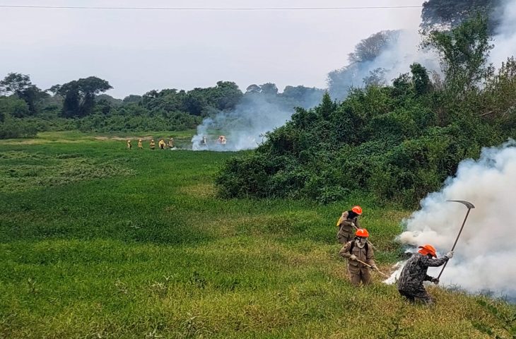 Guaicurus News - Em 12 dias, chuvas acima da média contribuem para controlar focos de incêndios no Pantanal de MS