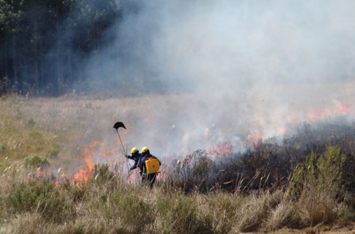 Guaicurus News - Bombeiros de Santa Catarina também auxiliarão equipes de MS no combate ao fogo no Pantanal