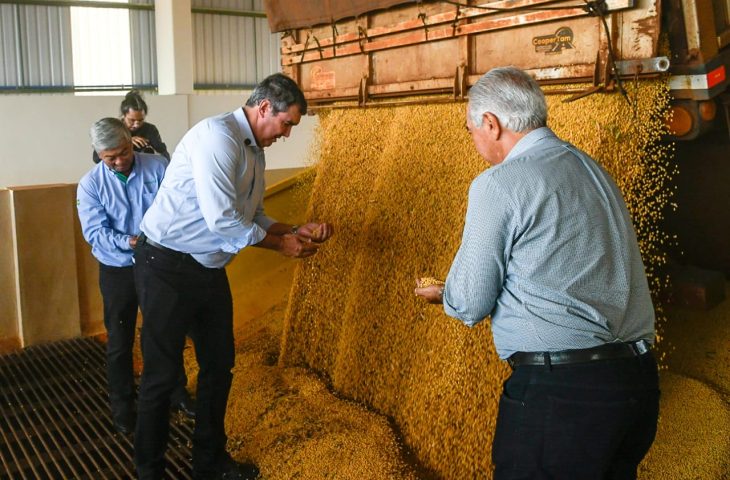 Guaicurus News - Processamento de soja em MS crescerá 20% com novo empreendimento em Maracaju