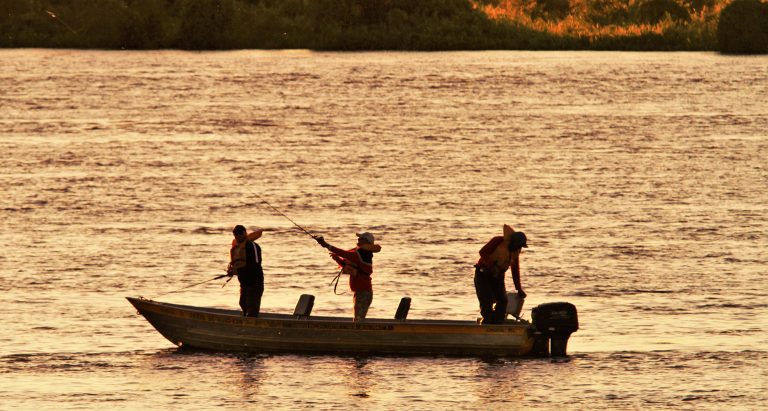 Guaicurus News - Modalidade ‘pesque e solte’ está liberada na calha do rio Paraguai a partir de sábado