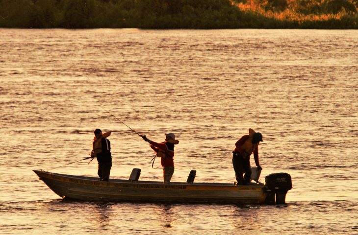 Guaicurus News - Pesca fica proibida a partir do dia 5 de novembro com o início do período de defeso