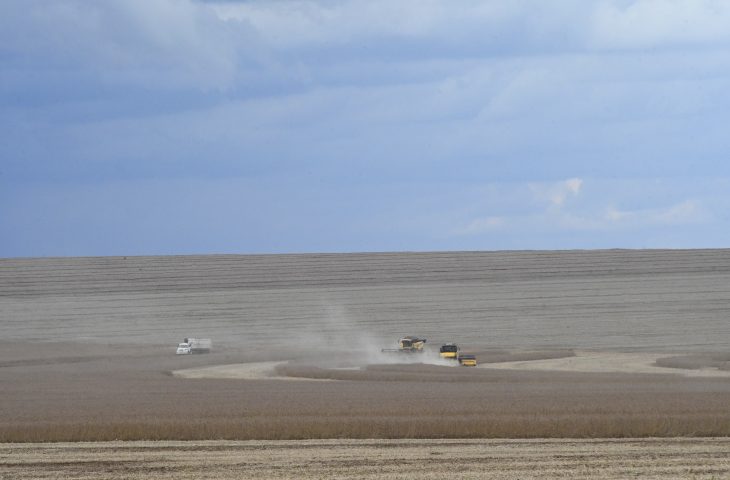 Guaicurus News - MS deverá produzir 14,6 milhões de toneladas de soja, volume 11,4% superior ao da safra passada