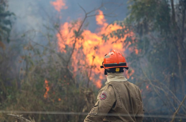 Guaicurus News - Operação Pantanal: bombeiros de MS lutam para conter grandes chamas na região do Nabileque