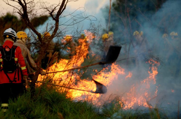 Guaicurus News - Treinamento de combate ao fogo qualifica novos soldados dos Bombeiros para atuar em incêndios florestais