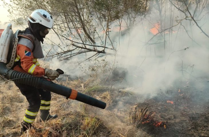 Guaicurus News - Mulheres têm papel de destaque no combate aos incêndios no Pantanal