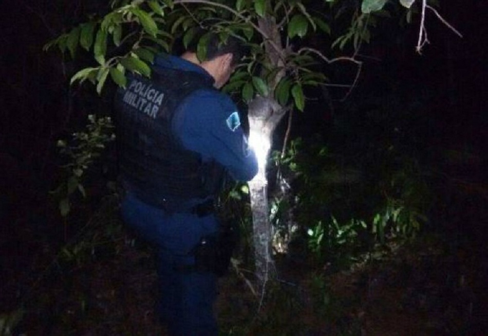 Guaicurus News - Homem é sequestrado, amarrado em mata e tem caminhonete levada por bandidos em Dourados